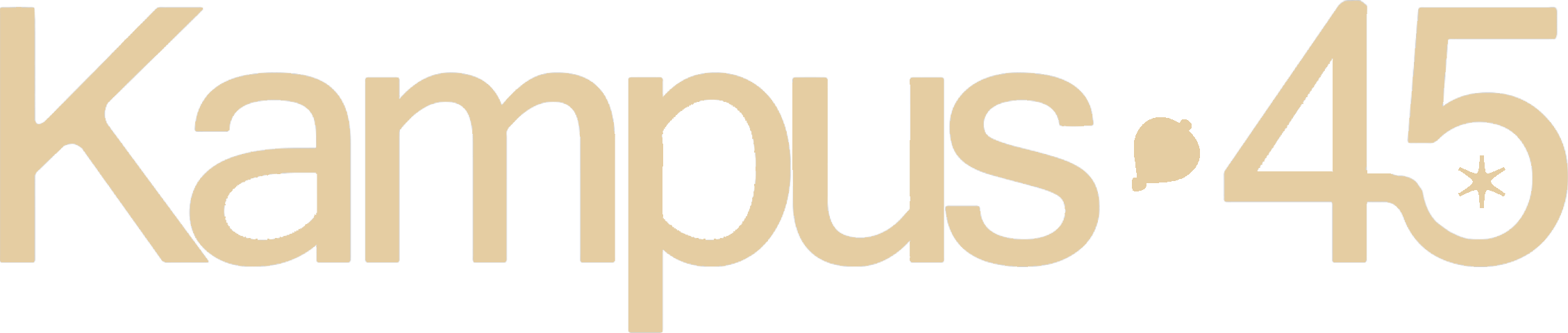 Kampus 45